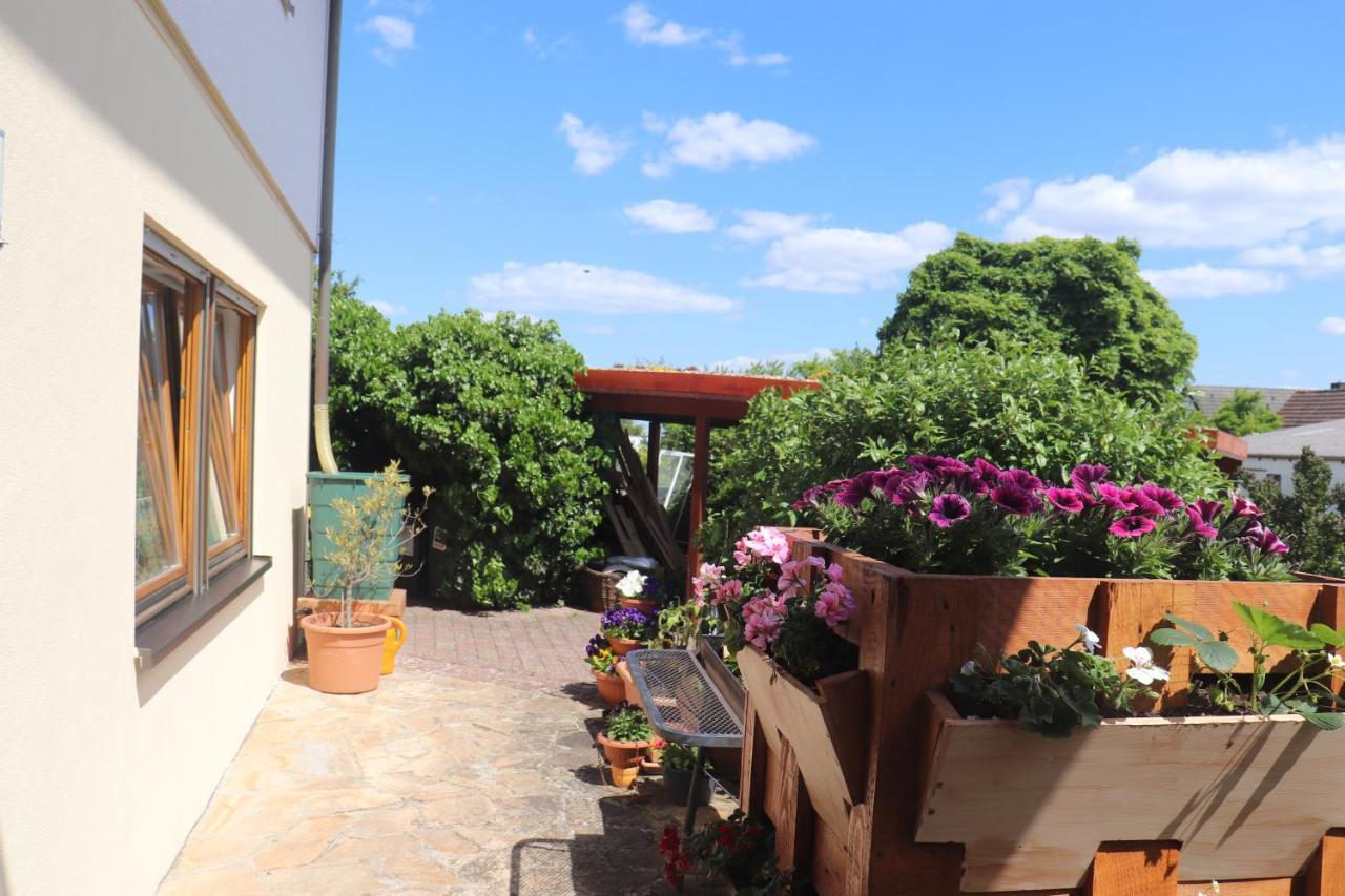 Ferienwohnung Pimer Ranschbach Εξωτερικό φωτογραφία
